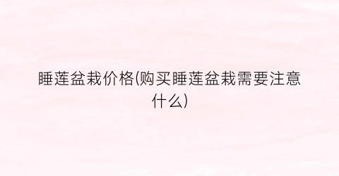 睡莲盆栽价格(购买睡莲盆栽需要注意什么)