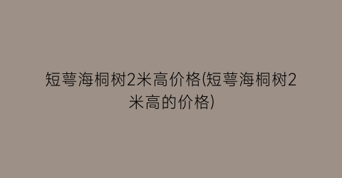“短萼海桐树2米高价格(短萼海桐树2米高的价格)