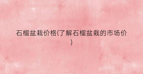 石榴盆栽价格(了解石榴盆栽的市场价)