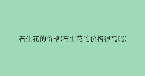 石生花的价格(石生花的价格很高吗)