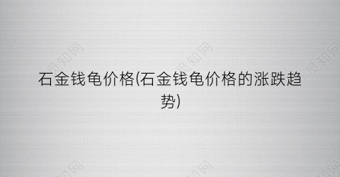 石金钱龟价格(石金钱龟价格的涨跌趋势)
