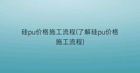 “硅pu价格施工流程(了解硅pu价格施工流程)