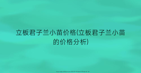 立板君子兰小苗价格(立板君子兰小苗的价格分析)
