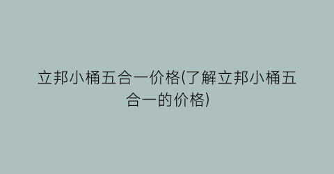 立邦小桶五合一价格(了解立邦小桶五合一的价格)