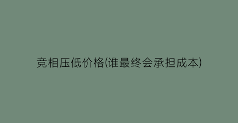 竞相压低价格(谁最终会承担成本)
