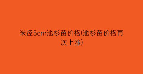 米径5cm池杉苗价格(池杉苗价格再次上涨)