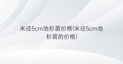 米径5cm池杉苗价格(米径5cm池杉苗的价格)