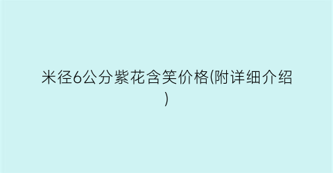 米径6公分紫花含笑价格(附详细介绍)