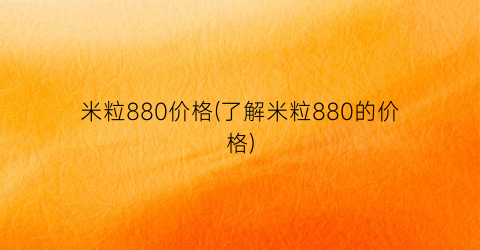 米粒880价格(了解米粒880的价格)