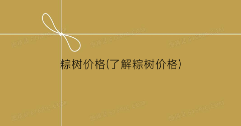 粽树价格(了解粽树价格)