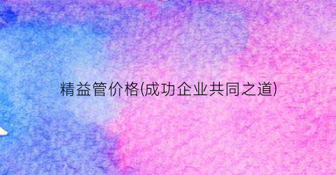 精益管价格(成功企业共同之道)