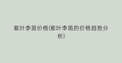 紫叶李苗价格(紫叶李苗的价格趋势分析)