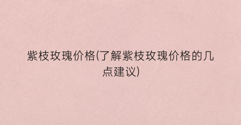紫枝玫瑰价格(了解紫枝玫瑰价格的几点建议)