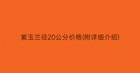 紫玉兰径20公分价格(附详细介绍)