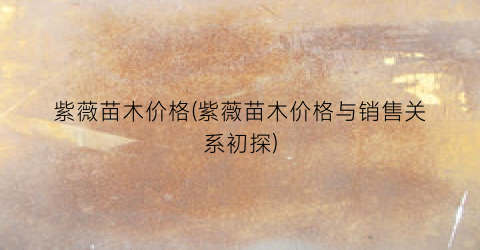 紫薇苗木价格(紫薇苗木价格与销售关系初探)