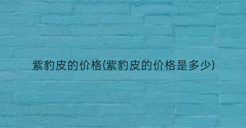 “紫豹皮的价格(紫豹皮的价格是多少)