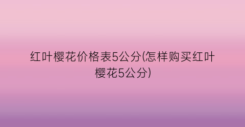 红叶樱花价格表5公分(怎样购买红叶樱花5公分)