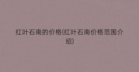 红叶石南的价格(红叶石南价格范围介绍)
