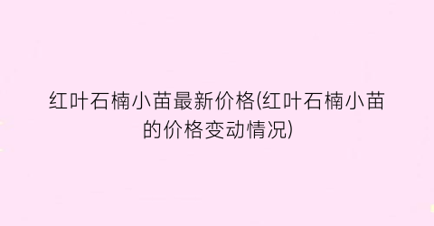红叶石楠小苗最新价格(红叶石楠小苗的价格变动情况)