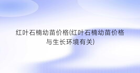 红叶石楠幼苗价格(红叶石楠幼苗价格与生长环境有关)
