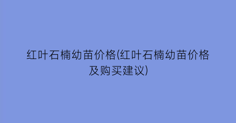 红叶石楠幼苗价格(红叶石楠幼苗价格及购买建议)