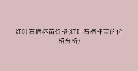 “红叶石楠杯苗价格(红叶石楠杯苗的价格分析)
