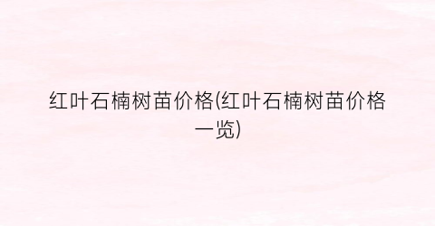 红叶石楠树苗价格(红叶石楠树苗价格一览)
