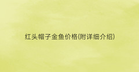 “红头帽子金鱼价格(附详细介绍)