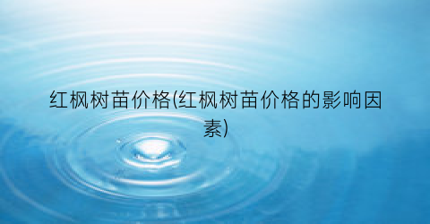 红枫树苗价格(红枫树苗价格的影响因素)