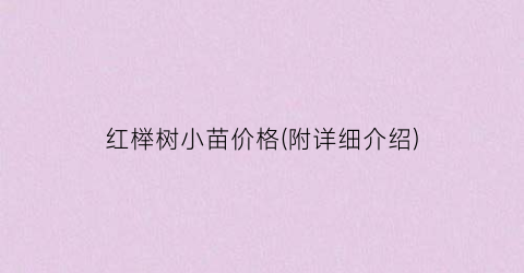 红榉树小苗价格(附详细介绍)