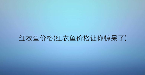 红衣鱼价格(红衣鱼价格让你惊呆了)