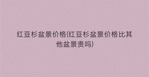 红豆杉盆景价格(红豆杉盆景价格比其他盆景贵吗)
