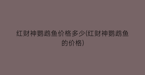红财神鹦鹉鱼价格多少(红财神鹦鹉鱼的价格)