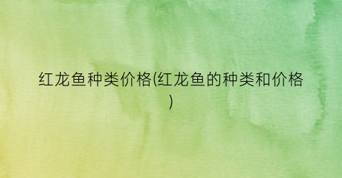 红龙鱼种类价格(红龙鱼的种类和价格)