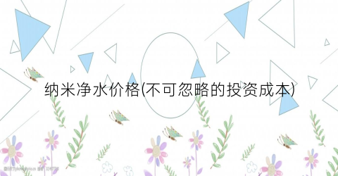 纳米净水价格(不可忽略的投资成本)