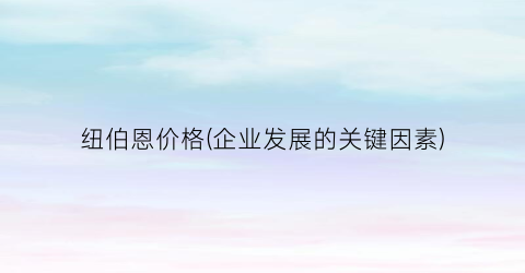 纽伯恩价格(企业发展的关键因素)