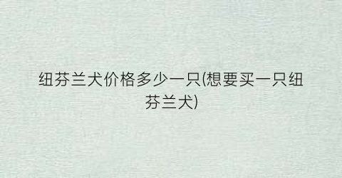 纽芬兰犬价格多少一只(想要买一只纽芬兰犬)