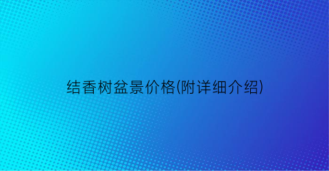 结香树盆景价格(附详细介绍)