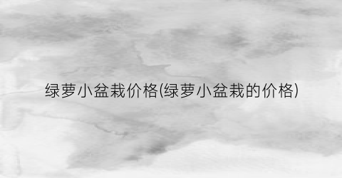 绿萝小盆栽价格(绿萝小盆栽的价格)