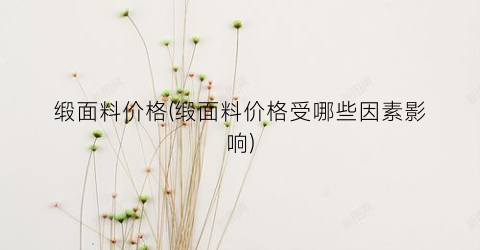 缎面料价格(缎面料价格受哪些因素影响)