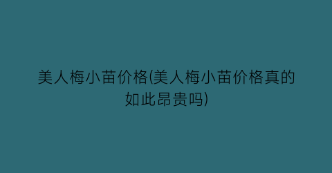 美人梅小苗价格(美人梅小苗价格真的如此昂贵吗)