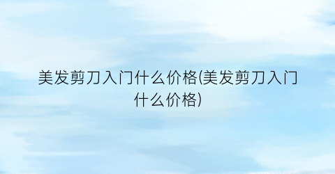 美发剪刀入门什么价格(美发剪刀入门什么价格)