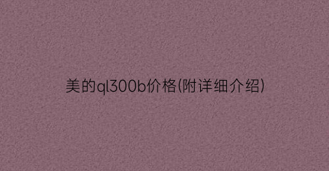 美的ql300b价格(附详细介绍)