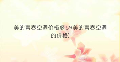 美的青春空调价格多少(美的青春空调的价格)