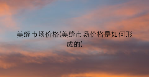 美缝市场价格(美缝市场价格是如何形成的)
