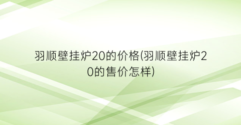羽顺壁挂炉20的价格(羽顺壁挂炉20的售价怎样)