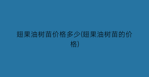 翅果油树苗价格多少(翅果油树苗的价格)