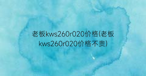 老板kws260r020价格(老板kws260r020价格不贵)