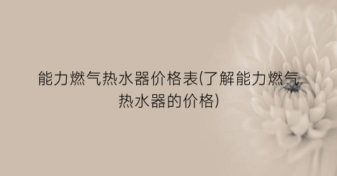 “能力燃气热水器价格表(了解能力燃气热水器的价格)