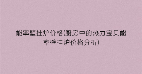 能率壁挂炉价格(厨房中的热力宝贝能率壁挂炉价格分析)
